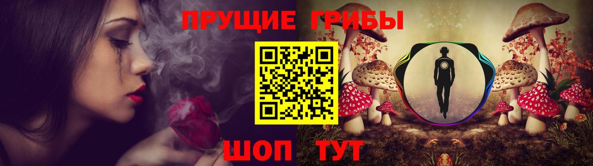 Галлюциногенные грибы ЛСД Славгород