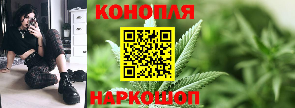 Славгород  Шишки марихуана планчик  Конопля Amnesia  Каннабис Ganja  Вход с VPN 